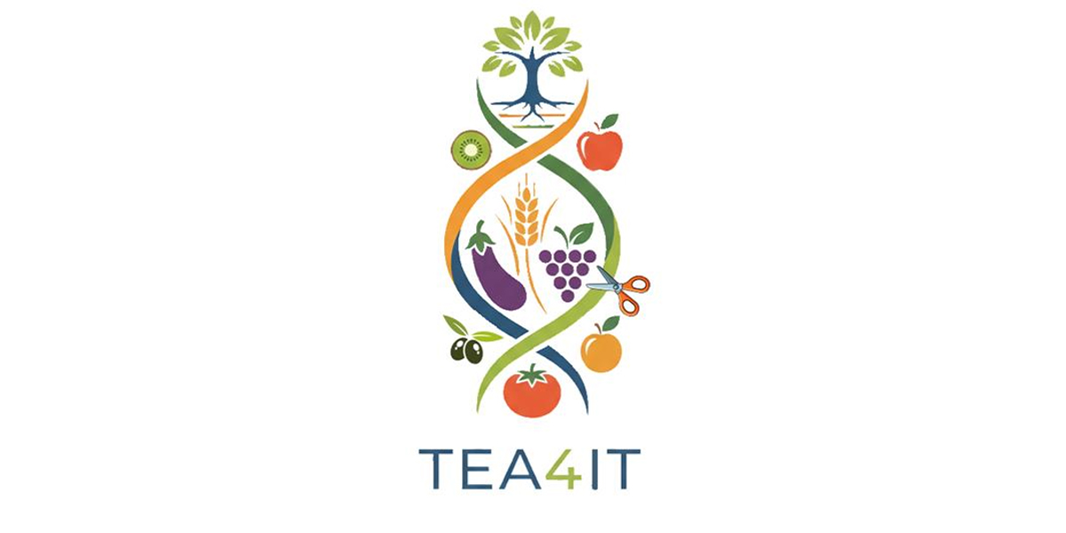 TEA4IT: al via il polo nazionale per il genome editing in agricoltura